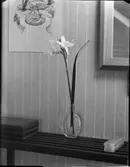 GLAS, MÄSSING, STENGODS, TENN MED BLAD OCH BLOMMOR, FRÄSVÄT, KLIPPARS