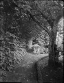 NYRESTAURERAD PRÄSTGÅRD I SKÅNE