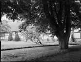 NYRESTAURERAD PRÄSTGÅRD I SKÅNE