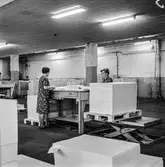 Kvinnor i arbete med att sortera papper på pappersbruket Papyrus i Mölndal, 8/10 1968.