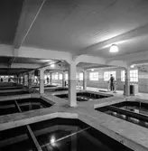 Vattenrening på pappersbruket Papyrus i Mölndal, 18/10 1968. Interiör.