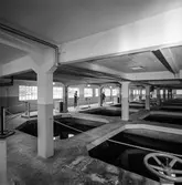 Vattenrening på pappersbruket Papyrus i Mölndal, 18/10 1968. Interiör.