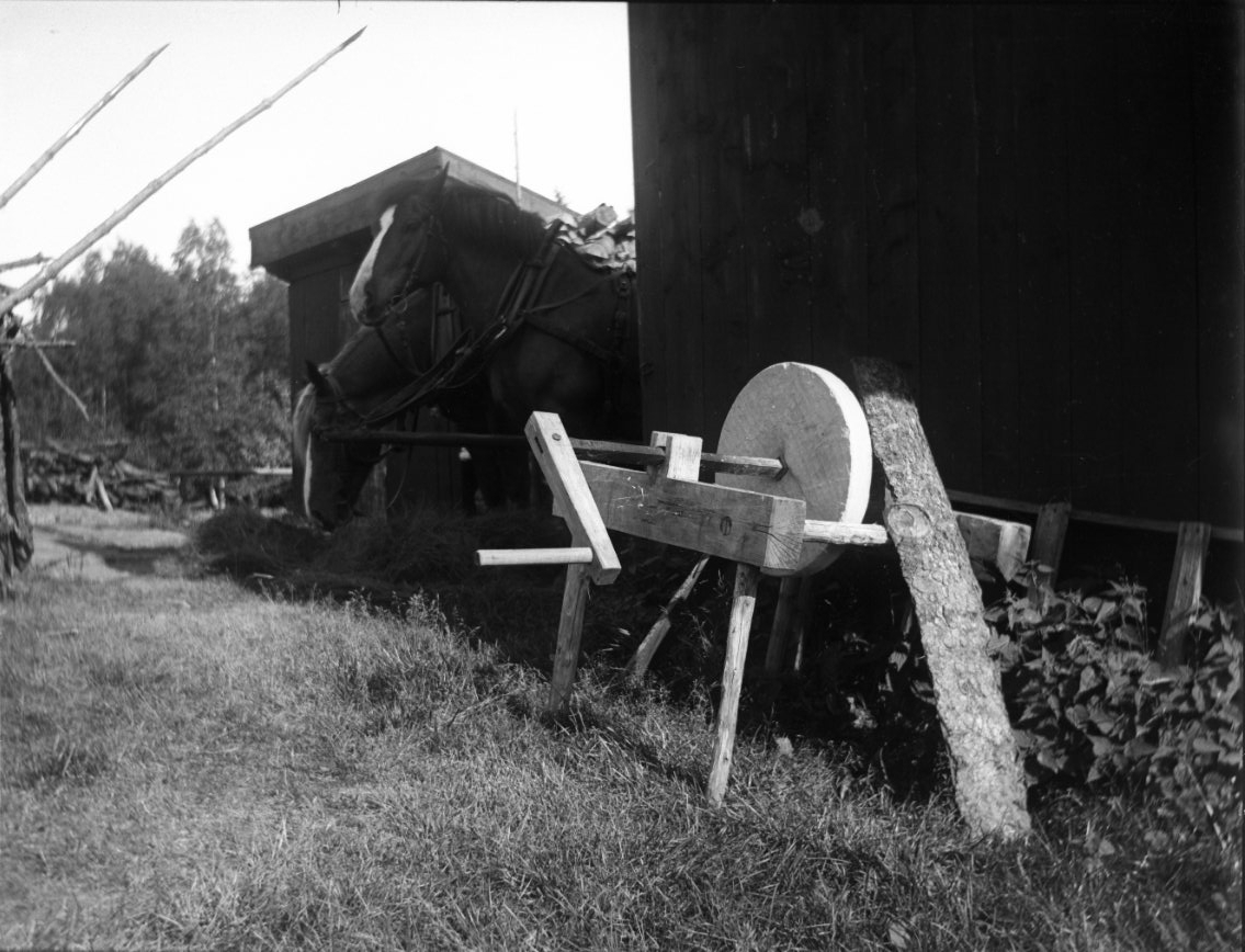Calla Helena Sundbeck, Two hardened horses with white ink peep forward behind a skin nut. In the foreground stands a grindstone.
