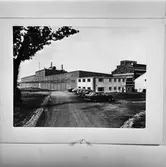 Pappersbruket Papyrus Limited i Newton Kyme, England. Exteriör, år 1962. Reprofotografi.