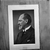 Porträttfotografi av man. Ur pappersbruket Papyrus samlingar.