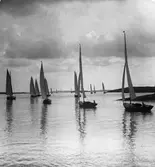 Kosterbåtar och långedragsjullar.

