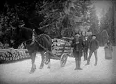 FYRA MÄN KÖR TIMMER MED HÄST OCH VAGN