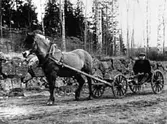 EN MAN KÖR EN HÄST SOM DRAR EN ARBETSVAGN.