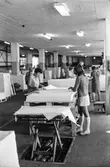 Kvinnor i arbete med att sortera papper på pappersbruket Papyrus i Mölndal, hösten 1970.