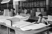 Kvinnor i arbete med att sortera papper i sortersalen, byggnad 18. Astrid Karlsson till höger. Pappersbruket Papyrus i Mölndal, hösten 1970.