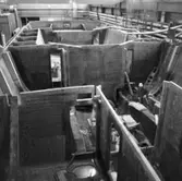 Standard Flex
Danska Standard Flex\\\\anm. neg ingår i en serie om 6 st däe endast det första\\V 103148 scannats/gp