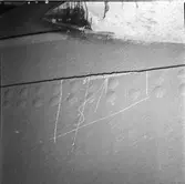 Tre Kronor
Kryssaren Tre Kronor, detaljer skrovsektionen