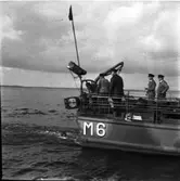 Minsveparen M6
Minfällning å minsveparen M6 och Aspö minsektion