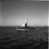 M 51
Minsveparen M 51, provtur till sjöss