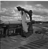 M 51
Minsveparen M 51, detaljer under och över däck