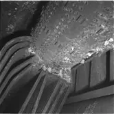 Uppland
Jagaren Uppland, panna