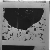 Maskinsektionen
Maskinsektionen, repr. av minkrobilder