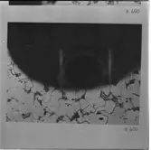 Maskinsektionen
Maskinsektionen, repr. av mikrobilder