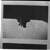 Maskinsektionen
Maskinsektionen, repr. av mikrobilder