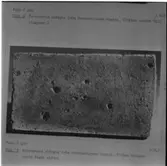 Maskinsektionen
Maskinsektionen, repr. av mikrobilder