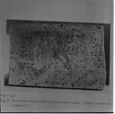 Maskinsektionen
Maskinsektionen, repr. av mikrobilder