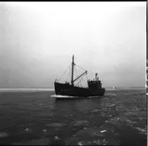 Edda
Transportbåten Edda