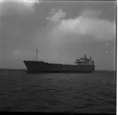 Balder Dona
Balder Dona till sjöss