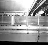 Carlskrona
Interiör av minfartyget Carlskrona (rörarrangemang)