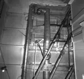 Carlskrona
Interiör av minfartyget Carlskrona (rörarrangemang)