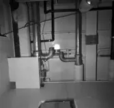 Carlskrona
Interiör av minfartyget Carlskrona (rörarrangemang)