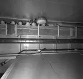 Carlskrona
Interiör av minfartyget Carlskrona (rörarrangemang)