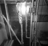 Carlskrona
Interiör av minfartyget Carlskrona, rörarrangemang