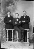 Ateljéporträtt - bröderna Edlund från Löta, Harg socken, Uppland 1923