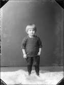 Ateljéporträtt - barn till Sonja Wilkesson från Östhammar, Uppland, 1923