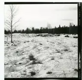 Västerås, Brandthovda.
Gryta hög på Brandthovda.