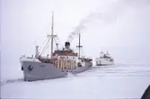 Lastfartyget Vaigu och Isis på väg genom isen. Fotade från Ymer.