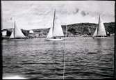 Regatta i Marstrand 1926