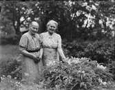 Två kvinnor i trädgården, Östhammar, Uppland