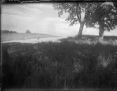 Landskapsvy, Sverige