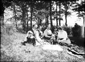 Picknick i gröngräset, Östhammar, Uppland