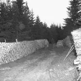 Fru Lind hittad. 
26 juni 1959.