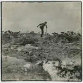 Letande efter Otto Nordenskjölds två efterlämnade trälådor med fossiler bland pingviner i Hope Bay. 5 december 1903.