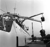 Carlskrona
Lastning av minor och minfällning, minfartyget Carlskrona