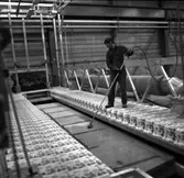 M 80
Arbetsställningar kring M 80 och plastning av däcket