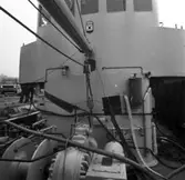 Rödlöga
Interiör eller exteriör av minsveparen Rödlöga