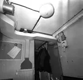 Rödlöga
Interiör eller exteriör av minsveparen Rödlöga