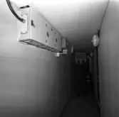 Carlskrona
Interiör av minfartyget Carlskrona\\\\