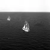 Gladan och Falken
Skonerterna Gladan och Falken till sjöss