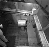 Mul 13 och Mul 28
Interiörer och exteriörer av maskinrum och styrhytt på Mul 13 och Mul 28.\\\\anm. Neg ingår i en serie om 33 st varav endast det första\\V 92839 scannats/gp