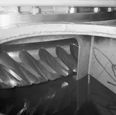 Snäckväxlarna M73 Koster